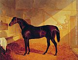 John Frederick Herring Snr Canvas Paintings - Mr Johnstone's Charles XII in a Stable